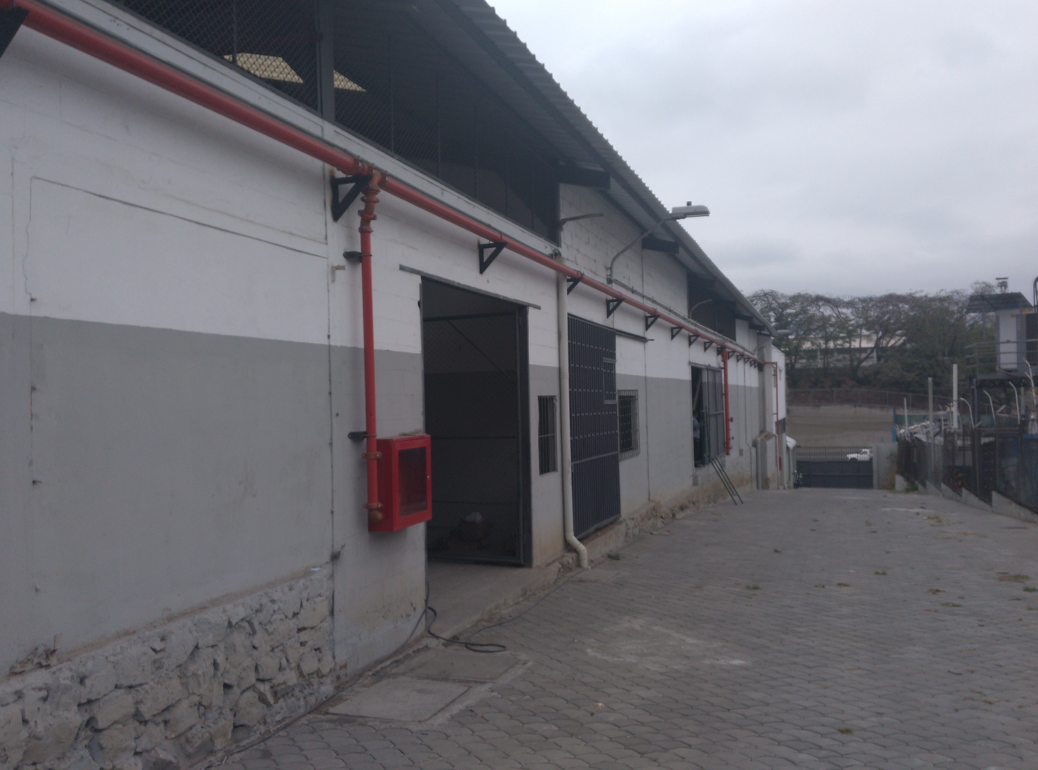 Imagen de galería